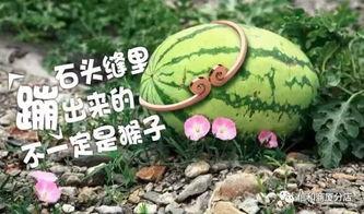 黑料吃瓜网apk普通安装