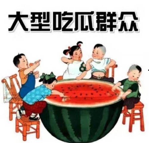 大姐找茬啊 