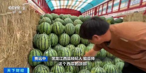黑料吃瓜网apk普通安装
