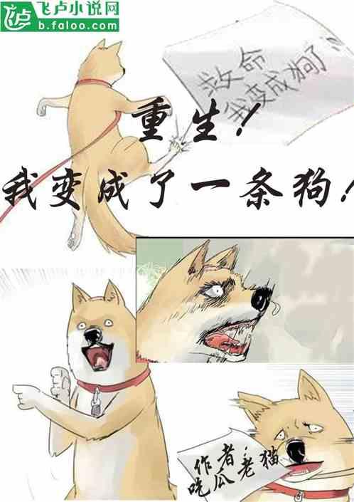 疯小说 