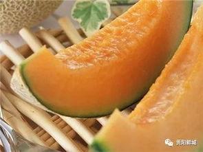 哈密瓜影视 
